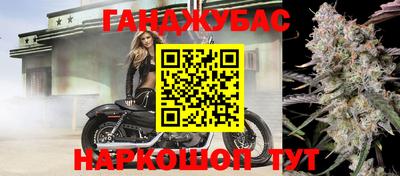 Альфа ПВП Новозыбков